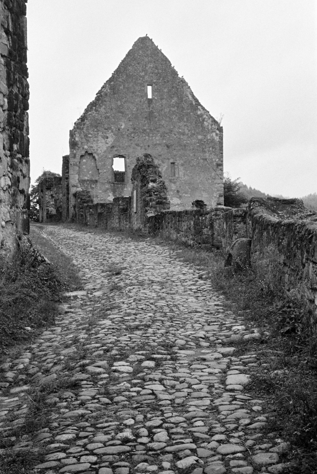 Scan-Beispiel: ILFORD HP 5+